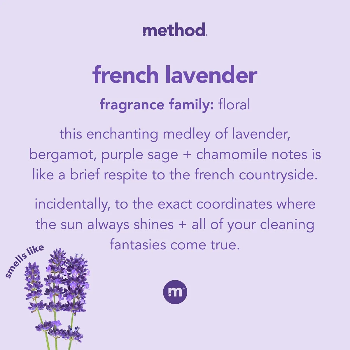 Method Gel Hand Wash, French Lavender, 12 Fl Oz (Pack of 1)