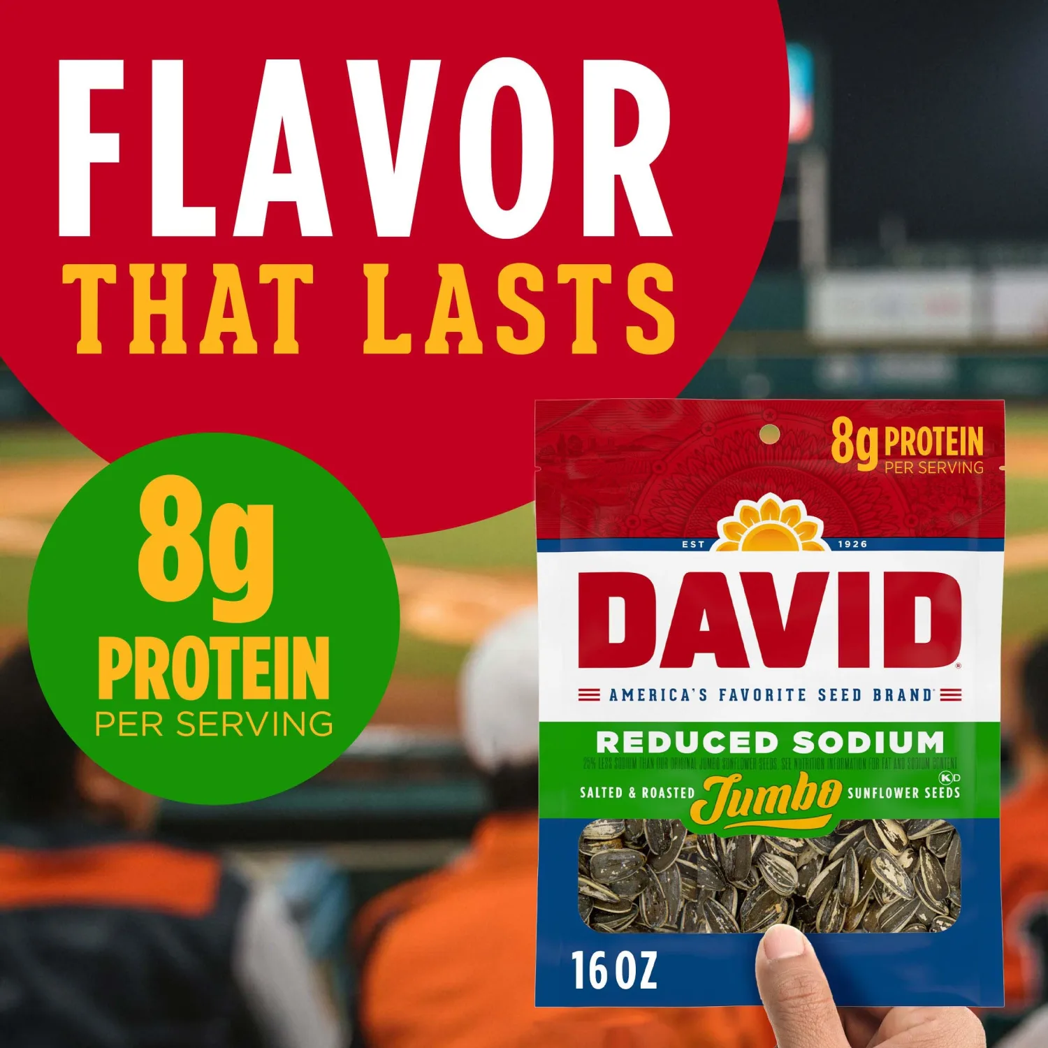 DAVID Reduced Sodium Sunflower Seeds, Original Flavor, Father's Day Baseball Snack for Dad, 16 oz.