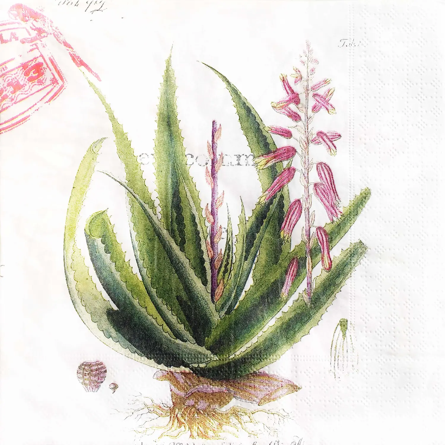 Zelten Colored Paper Napkins, 20 Count Shabby Chic Napkins for Wedding, Dinner Tea Party Shower (Guatemala Plants I)