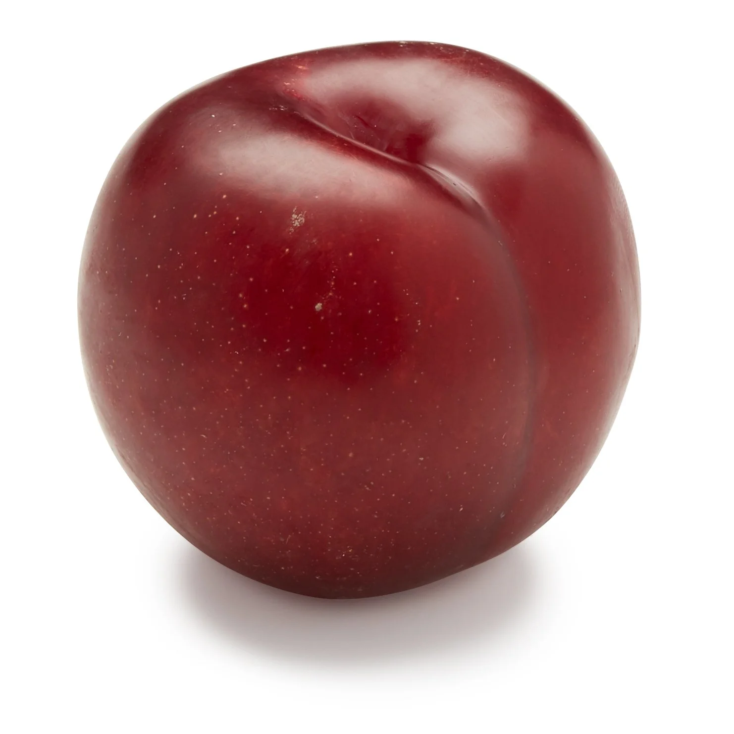 Red Plum, 1 Each