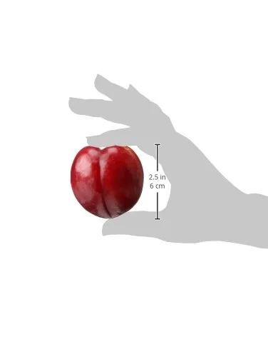 Organic Red Plum