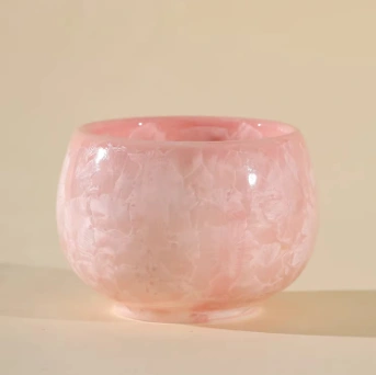 Fresh And Simple Host Cup Heat-Resistant Tea Mug