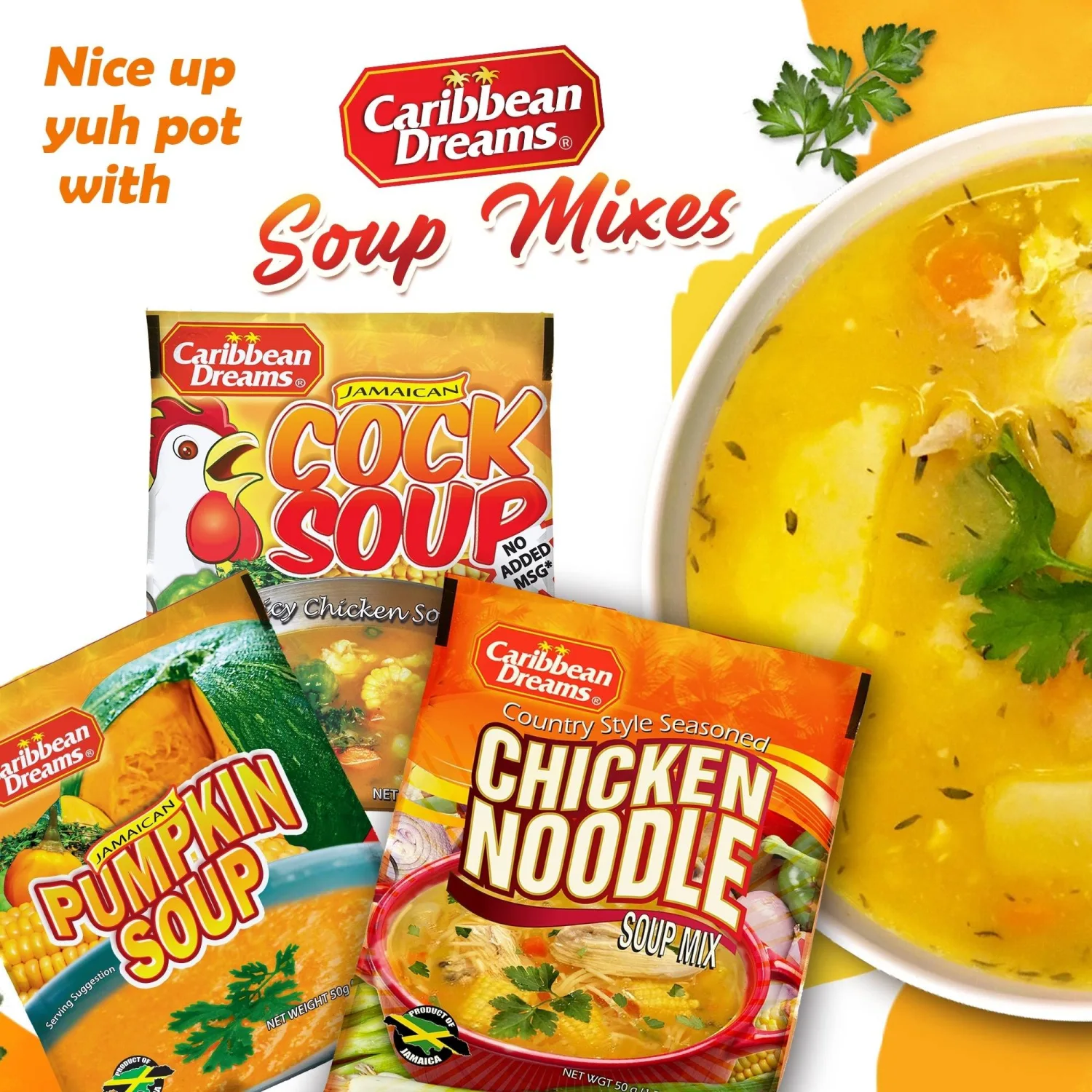 Caribbean Dreams Homestyle Fish Soup Mix, 50g (Pack of 10)