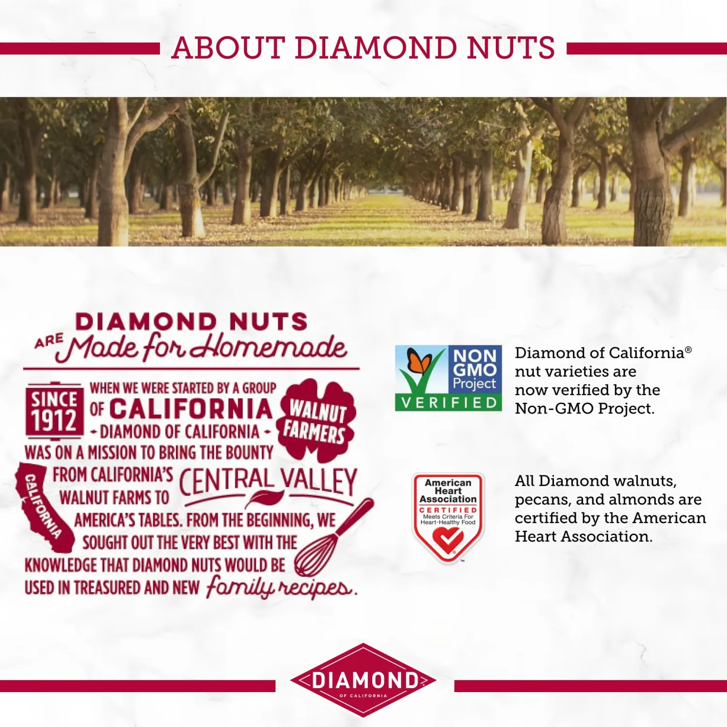 Diamond of California Harmony Mega Mountain Trail Mix with Mixed Nuts, Dried Fruit and Chocolate, 13 oz