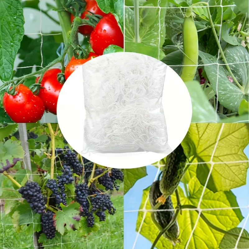 White Polyester Knotless Square Mesh Net For Climbing Plants