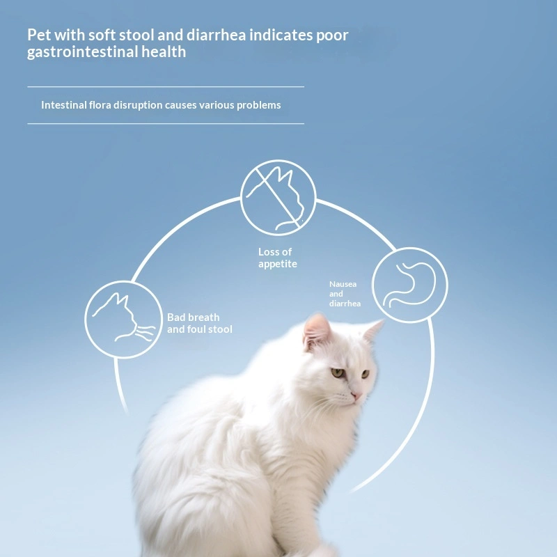 Probiotics For Gastrointestinal ReliefSuitable For Dogs And Cats