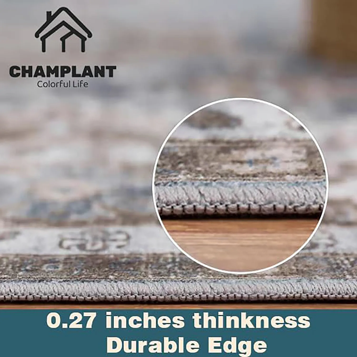 CHAMPLANT Washable Area Rug 2'x3' Door Mat Vintage Distressed Doormat Indoor Entrance Traditional Thin Rug Floral Print Non Slip Carpet for Kitchen Bathroom Bedroom Living Room