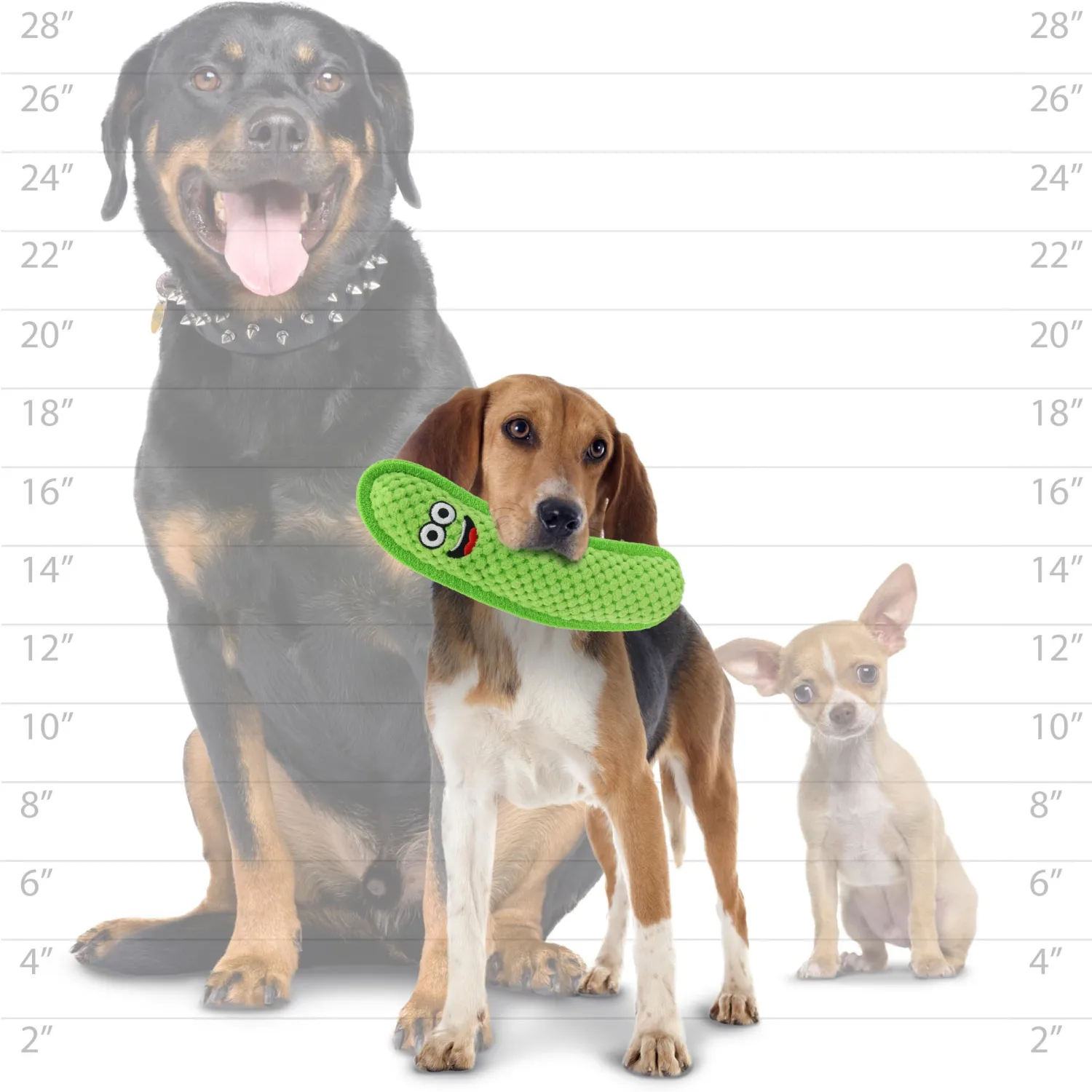 TUFFY® : Pickle Dog Toy: Ultra Durable Plush Toy with Multiple Layers & Reinforced Seams, Washable and Floats, Original Construction