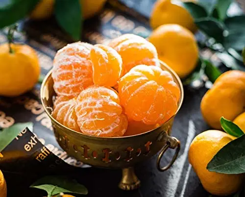 Satsuma Fruit Tree Real Live Plant Citrus 3"6"Seedling Mandarin Tangerine Orange