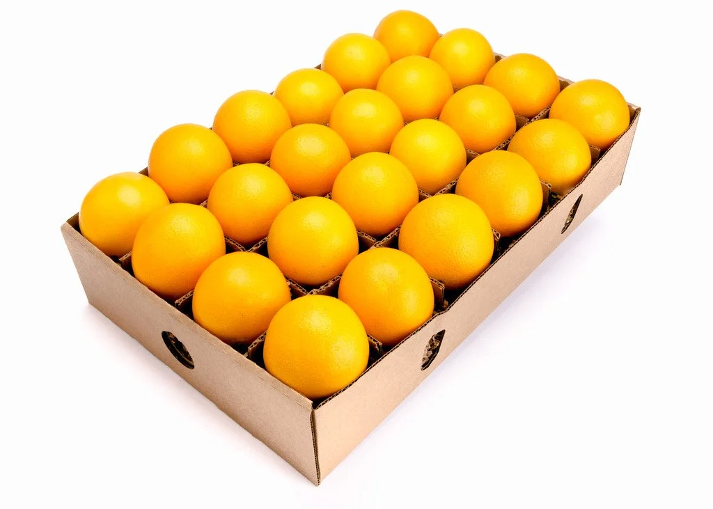 Fruit Share Organic Navel Oranges