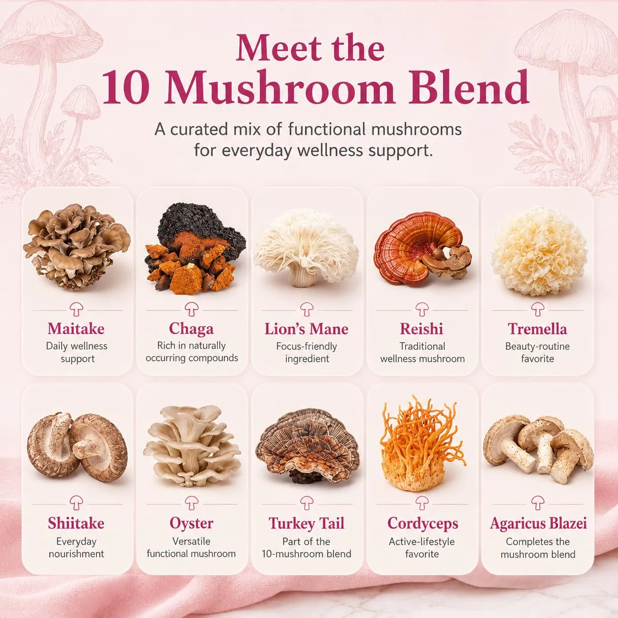 Suiyilary Mushroom Coffee with Collagen, 10 Mushroom Extract Powder Blend Lion's Mane, Brain Supplements with Instant Coffee for Energy, Focus, Skin and Immunity 150g 30 Serving