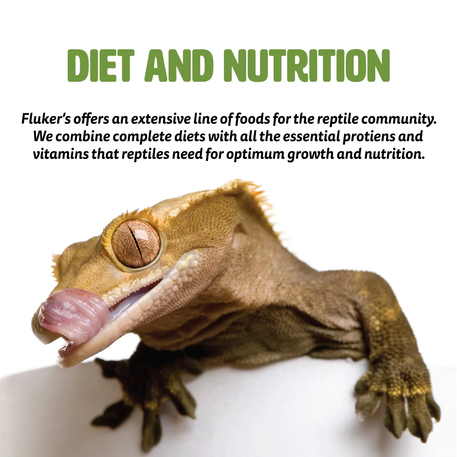 Fluker's Fresh Feeder Vac Pack Variety Mix, All Natural and Preservative Free, Great for Insect Eating Reptiles, Birds, Tropical Fish or Small Animals, 0.7 oz