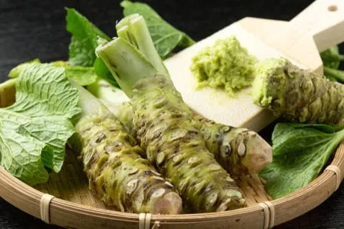 Japan Made Authentic Wasabi Paste from 85% Real Wasabi 2.82oz - Ideal for Sushi, Sashimi and Grilled Meat and Fish or Mixing with Dressings and Mayonnaise