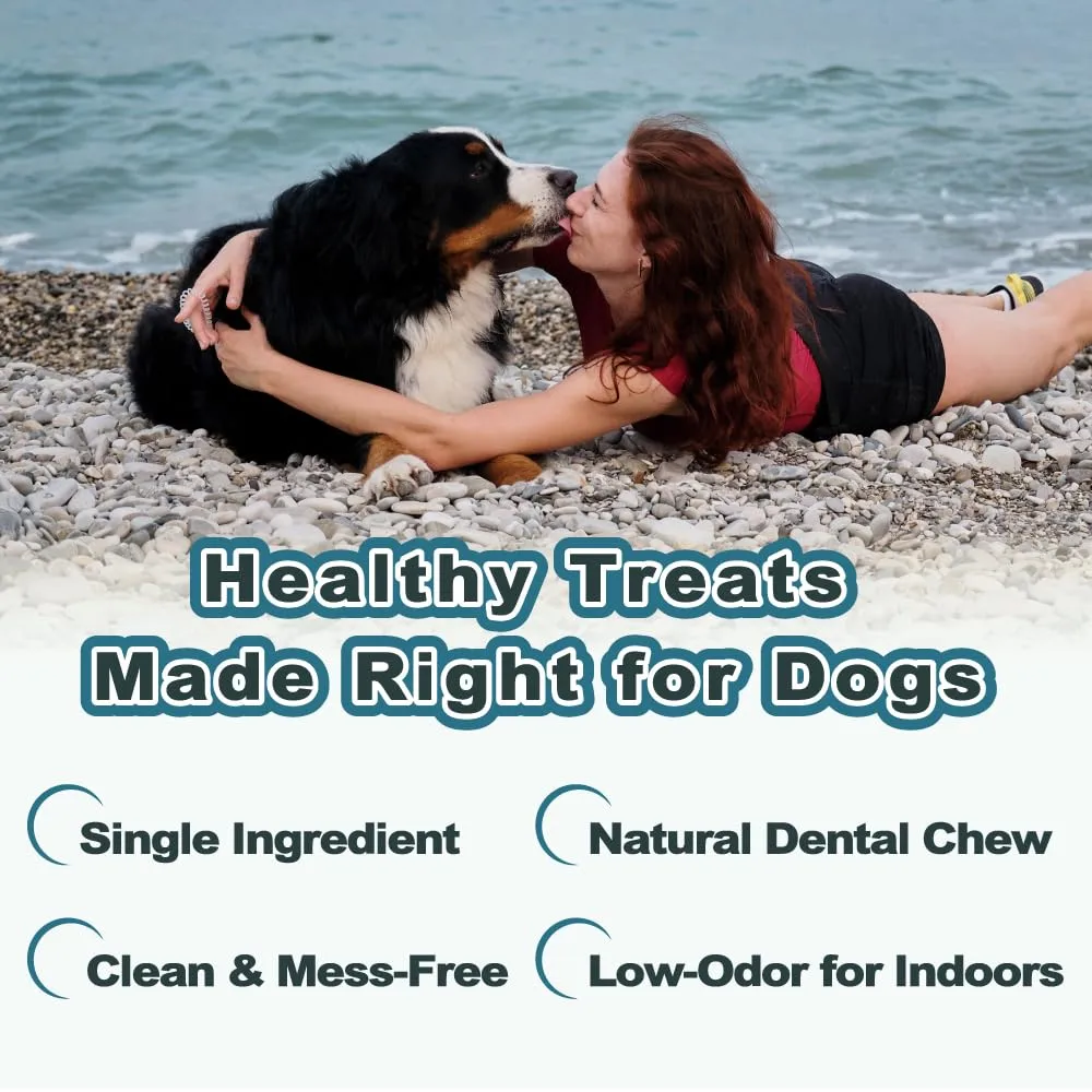 VITADAY 100% Fish Skin Dog Jerky Treats, Slice, 3 oz, 1-Pack | Natural dog jerky treats, rawhide alternative, 100% fish skin rich in collagen and omega-3, for all dogs, slice, 3 oz