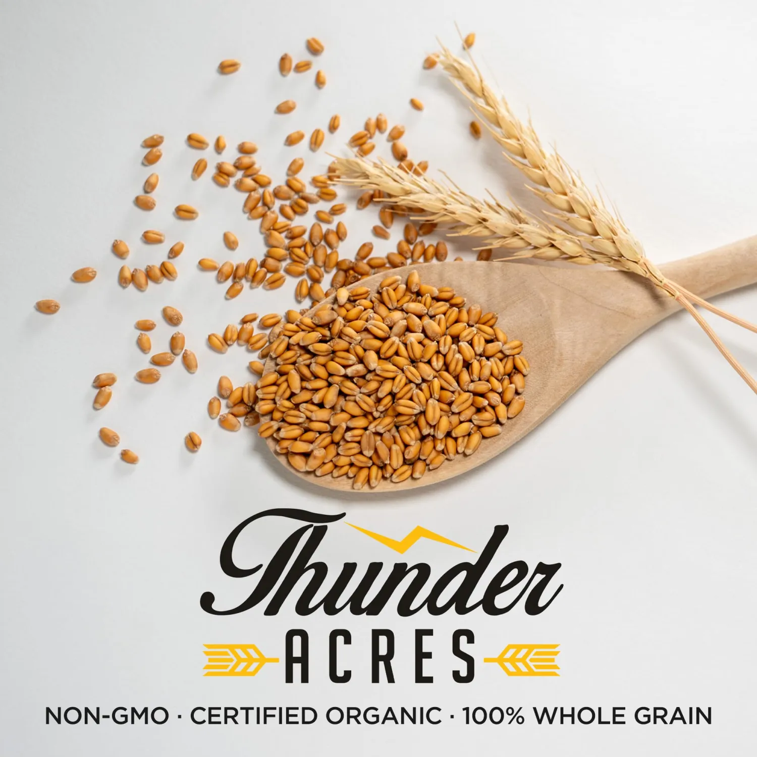Thunder Acres Premium Soft Red Winter Wheat Seed (1, Pounds)