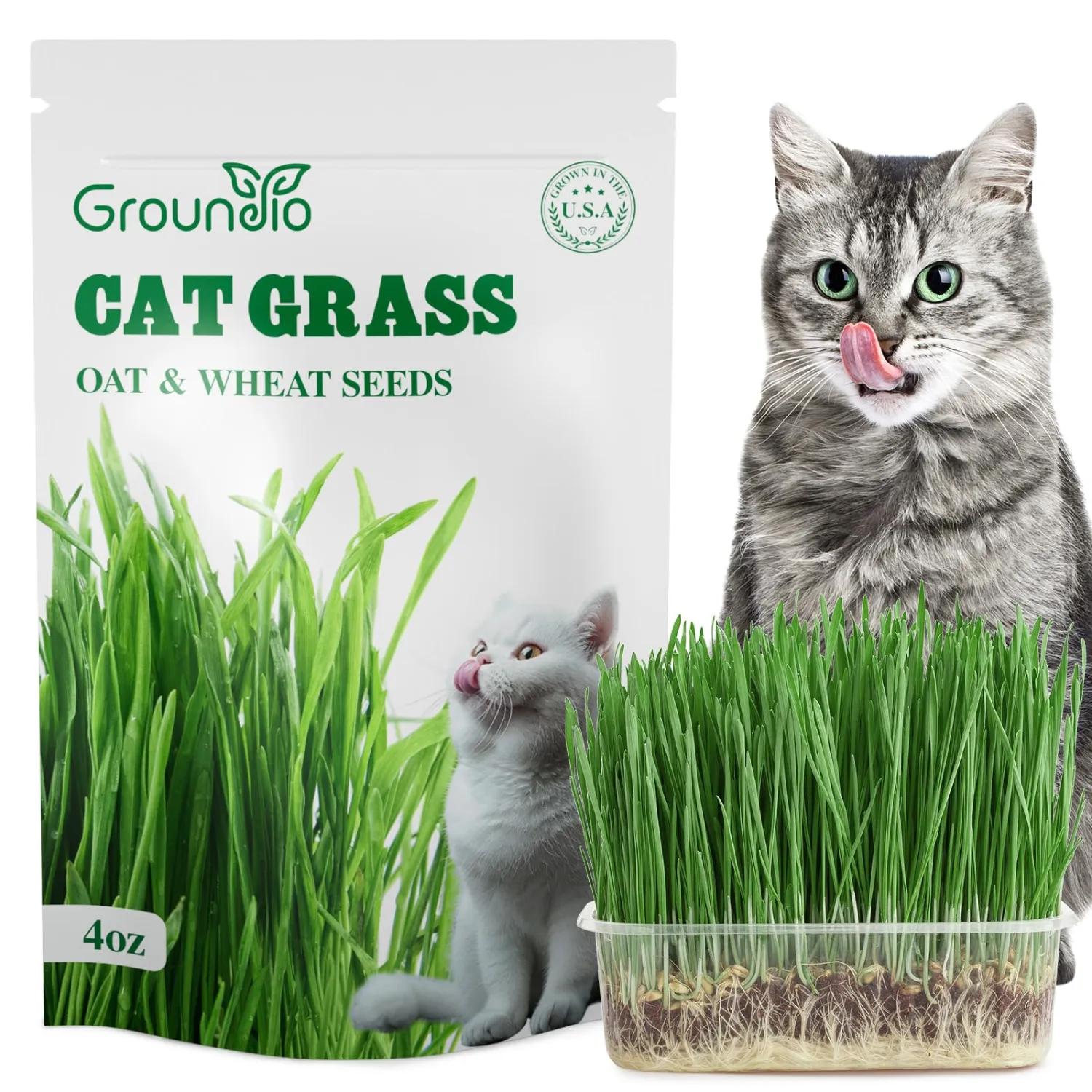 Groundio Cat Grass Seeds 4 OZ | Wheat & Oat Seeds Mix