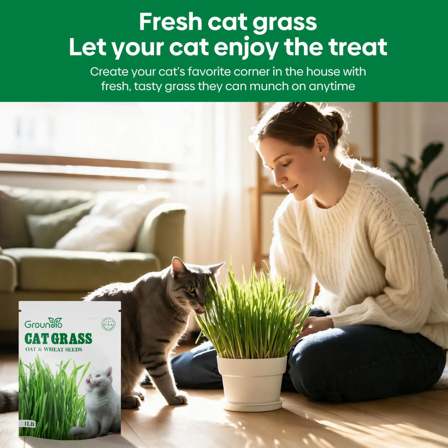 Groundio Cat Grass Seeds for Planting, 16OZ Large Packaging, Germinate in 4-7 Days with 98% Germination, Heirloom Non-GMO Wheat & Oat Seeds for Indoor Cats