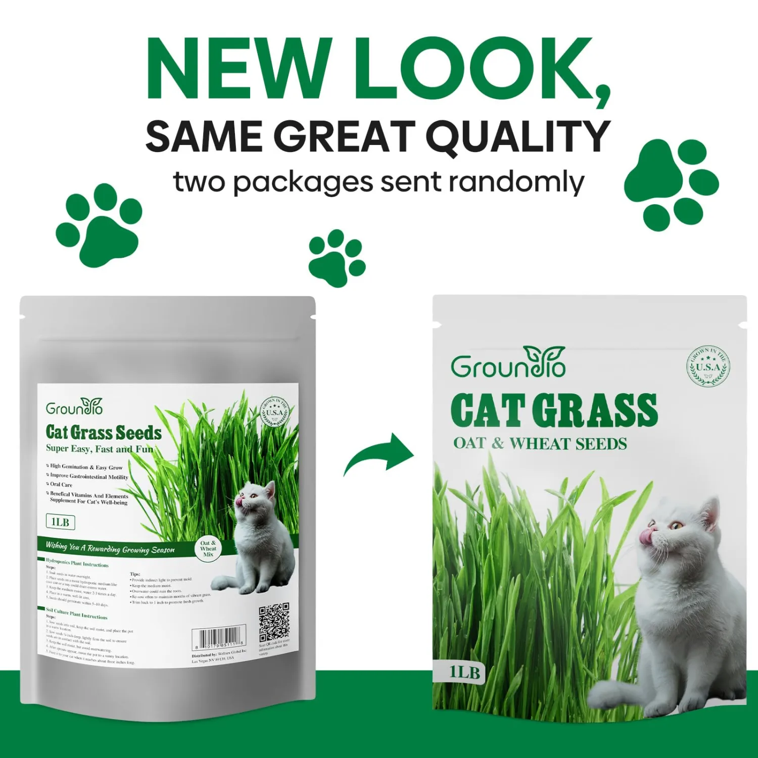 Groundio Cat Grass Seeds for Planting, 16OZ Large Packaging, Germinate in 4-7 Days with 98% Germination, Heirloom Non-GMO Wheat & Oat Seeds for Indoor Cats