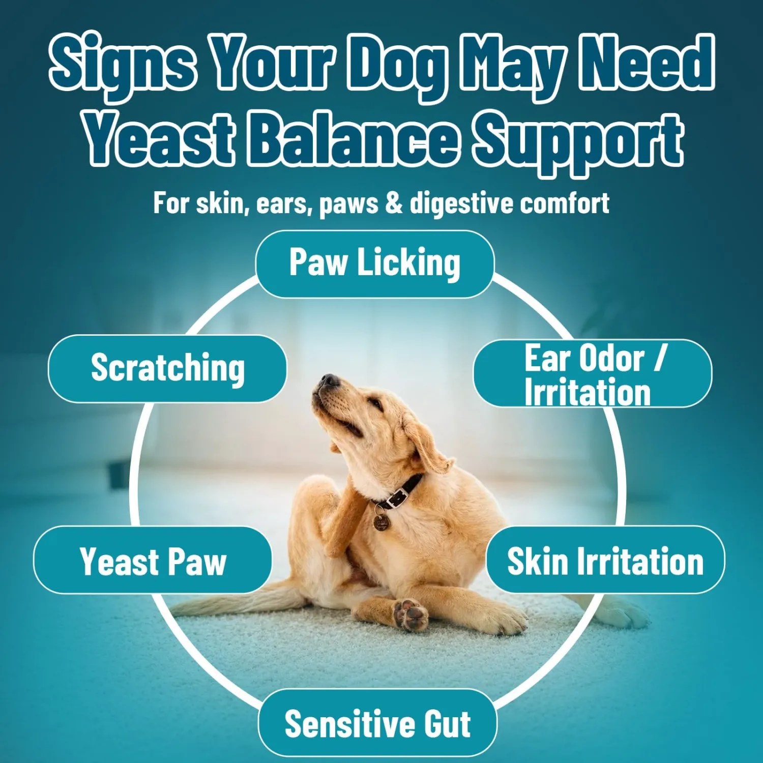 Dog Yeast Infection Treatment Bundle for Dogs, Anti Yeast Soft Chews + Dog Ear Infection Treatment Drops, Ear Cleaner for Dogs with Ozonated Olive Oil, Itchy Skin, Paw Licking, Ear Odor & Wax Support,