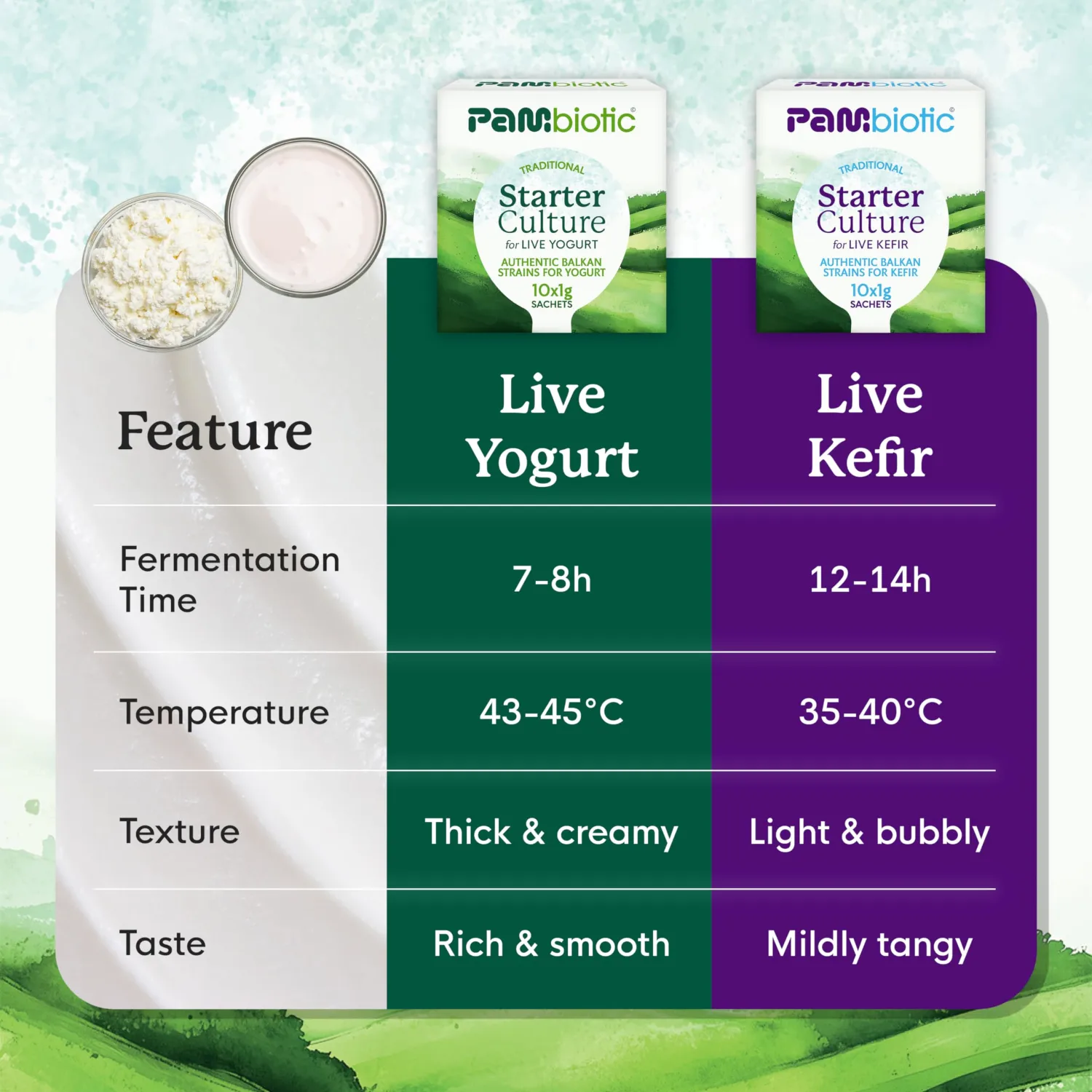 Pambiotic Yogurt Starter Culture, 10 Sachets, Makes Up to 10 Liters | Live Lactobacillus bulgaricus and Streptococcus thermophilus; over 25 billion CFU per gram, Non-GMO and gluten-free