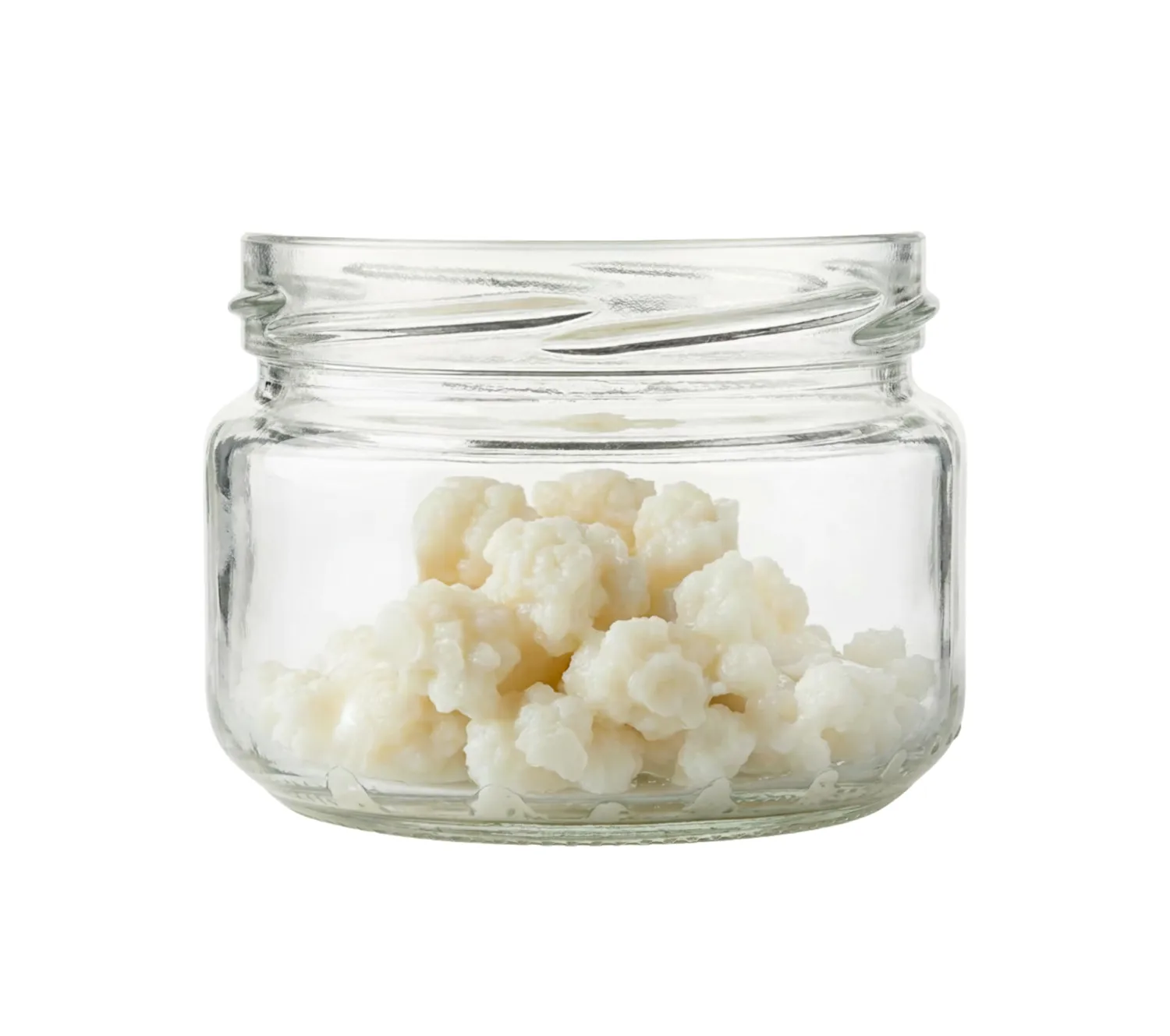 Kefit by NatuDelight Live Milk Kefir Grains - 3 Tsp Fresh Active Culture