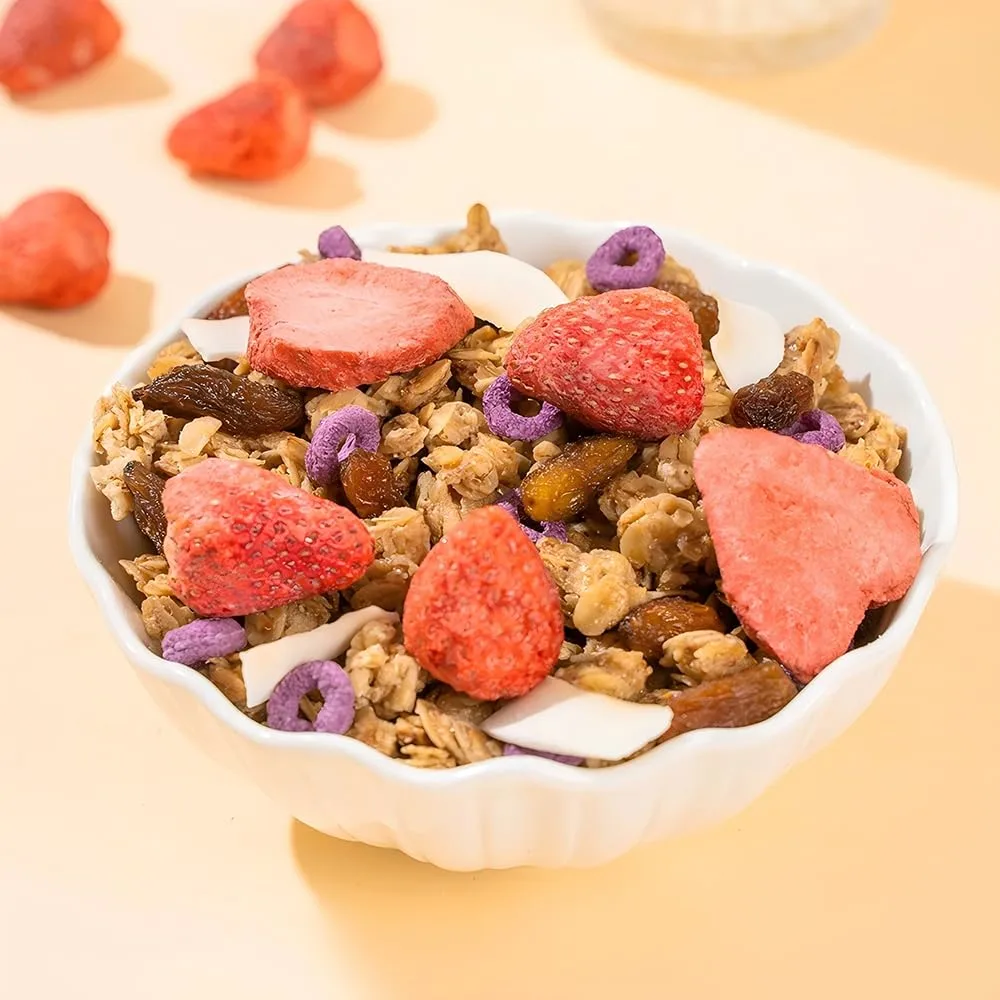 Yogurt Fruit Baked Cereal,320g/10.2oz Chinese Granola,Oatmeal Instant,Fiber Cereal Breakfast,Congee