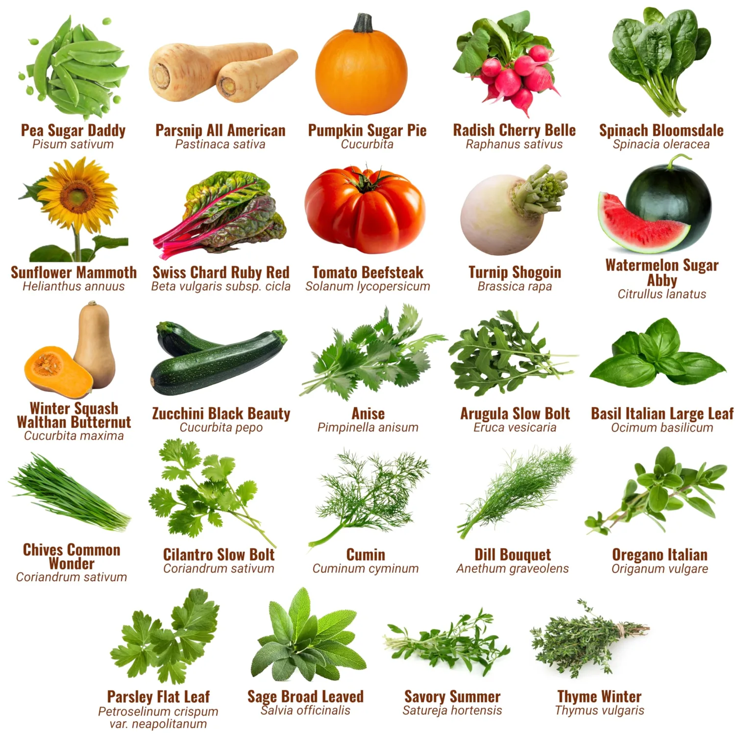 Vegetable, Fruit & Herb Seeds, 44 Packs, Non-GMO, 15,000+ Seeds