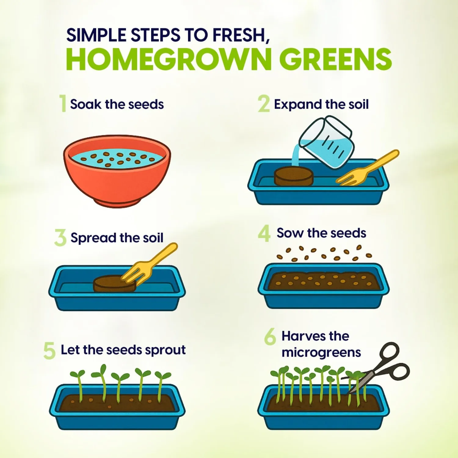 Microgreens Growing Kit, Ceramic Tray with Broccoli, Radish & Amaranth | Ceramic indoor kit with red amaranth, purple radish and broccoli seeds for fresh homegrown microgreens.