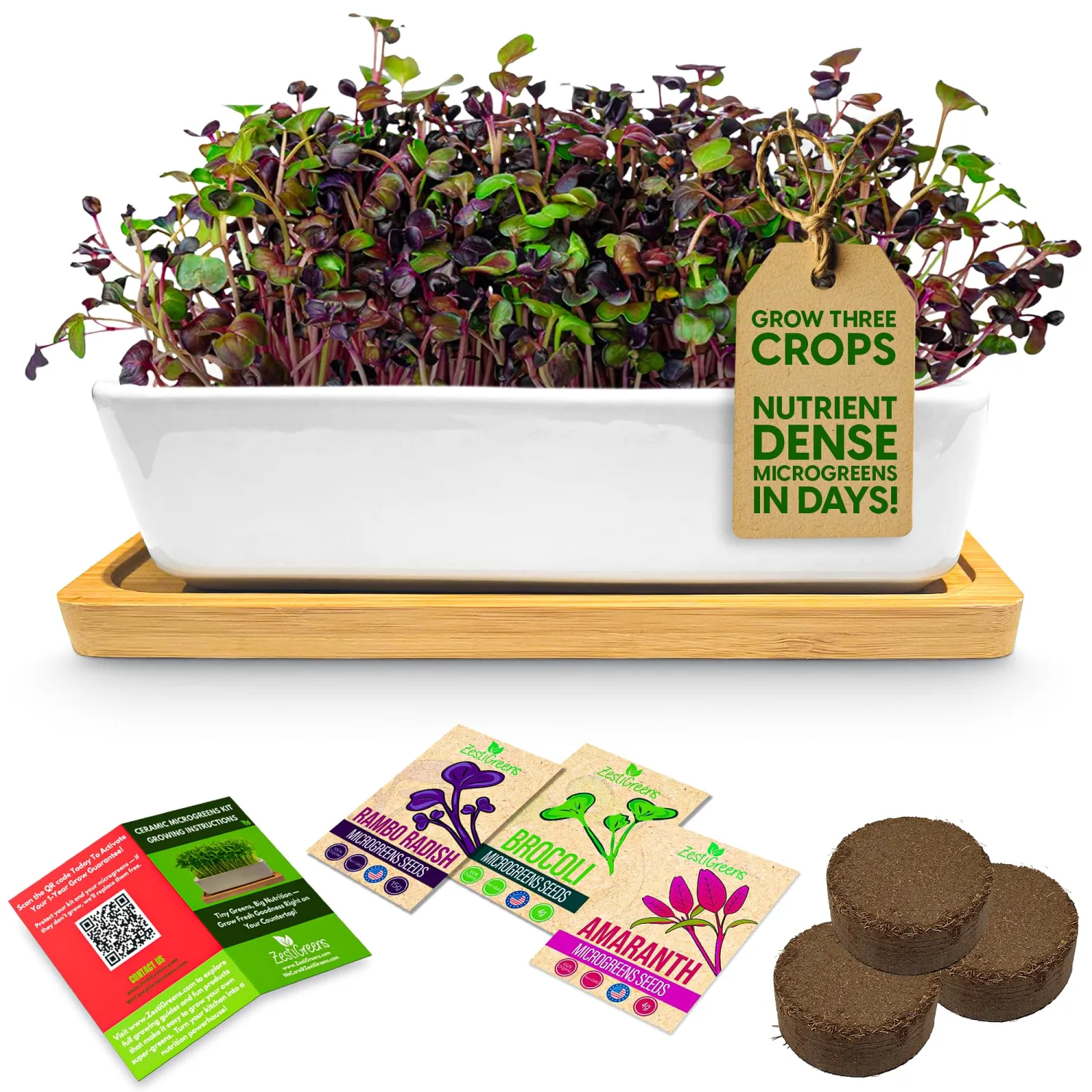 Microgreens Growing Kit, Ceramic Tray with Broccoli, Radish & Amaranth | Ceramic indoor kit with red amaranth, purple radish and broccoli seeds for fresh homegrown microgreens.
