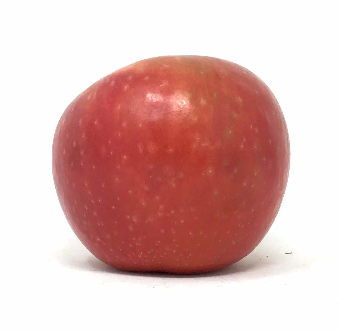 Sugarbee Apple