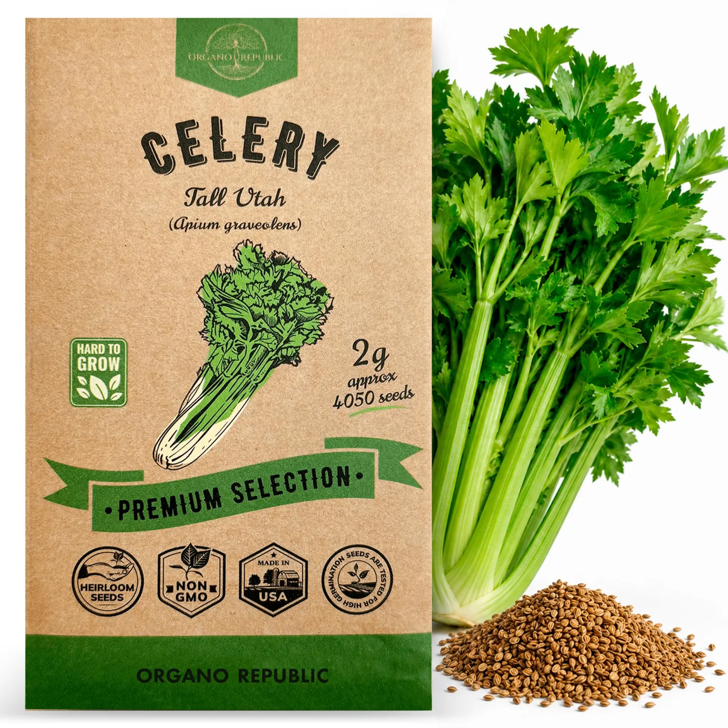 Tall Utah Celery Seeds Pack 2 G - Over 4,050 Non-GMO Heirloom Celery Seeds for Planting Vegetables in Individual Seed Packet