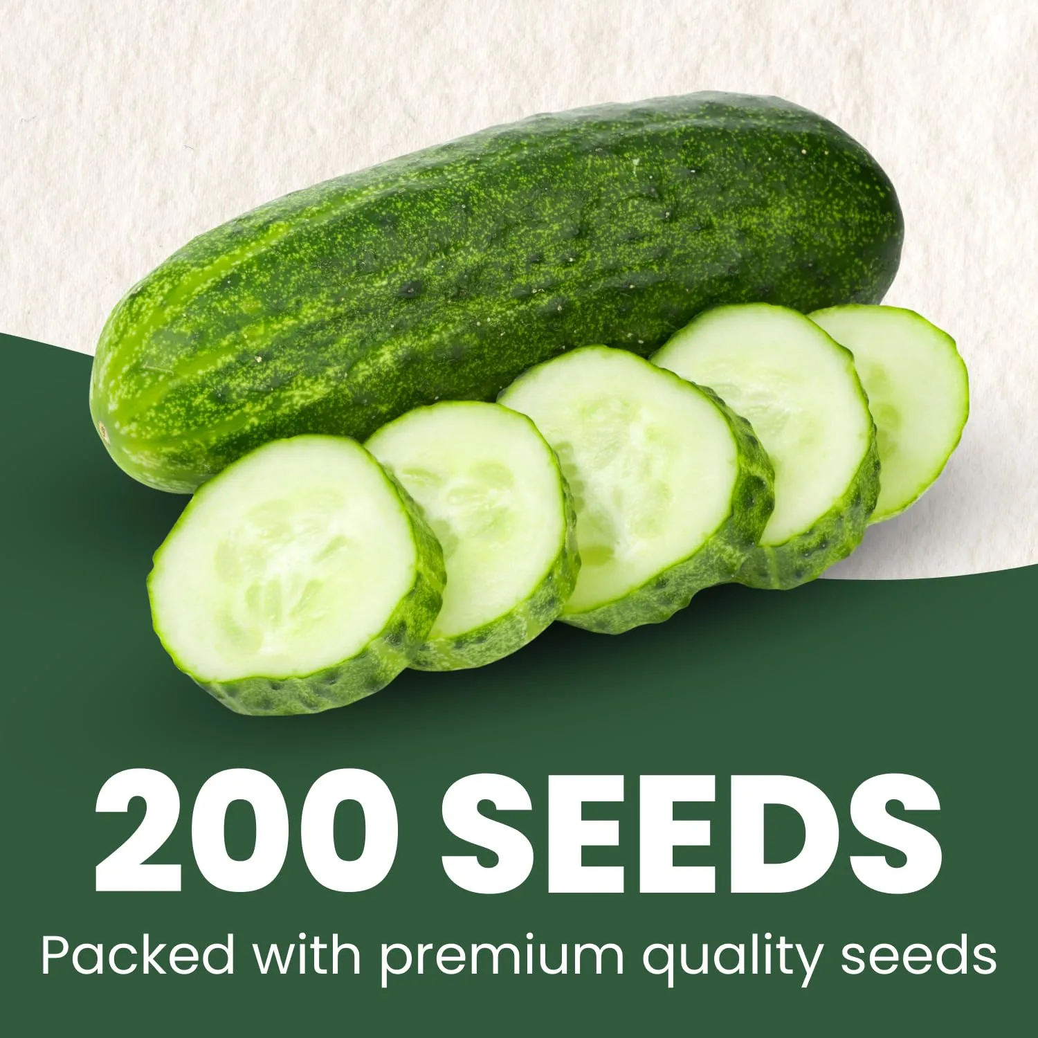 Cucumber Muncher – 200 Premium Seeds for Planting – Sweet, Tender, Heat-Tolerant Slicer for the 2026 Season – 6 Gram Pouch