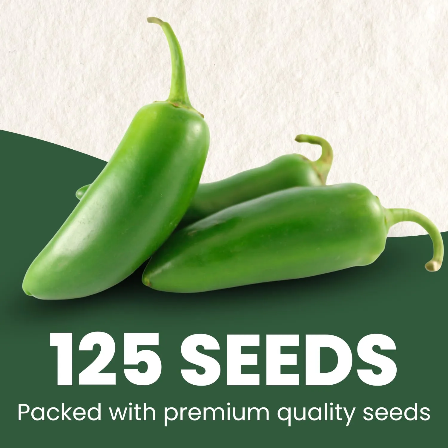 Jalapeno Pepper – 125 Premium Seeds for Planting – Spicy, Productive, Garden-Favorite Heirloom for the 2026 Season – 1 Gram Pouch
