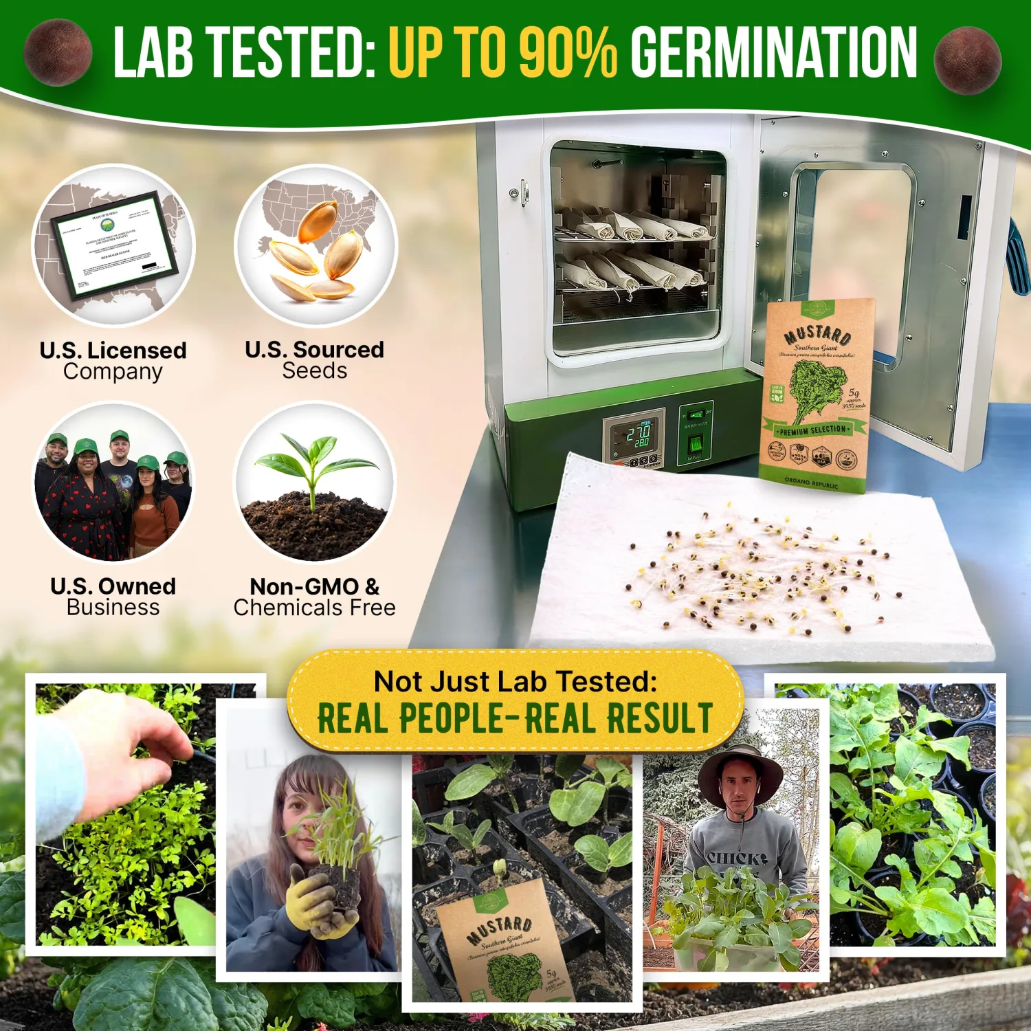 Mustard Southern Giant Seeds Pack 5 G - Over 3,950 Non-GMO Heirloom Mustard Seeds for Planting Greens in Individual Seed Packet, Greens Seeds for Planting Home Garden Indoor & Outdoor