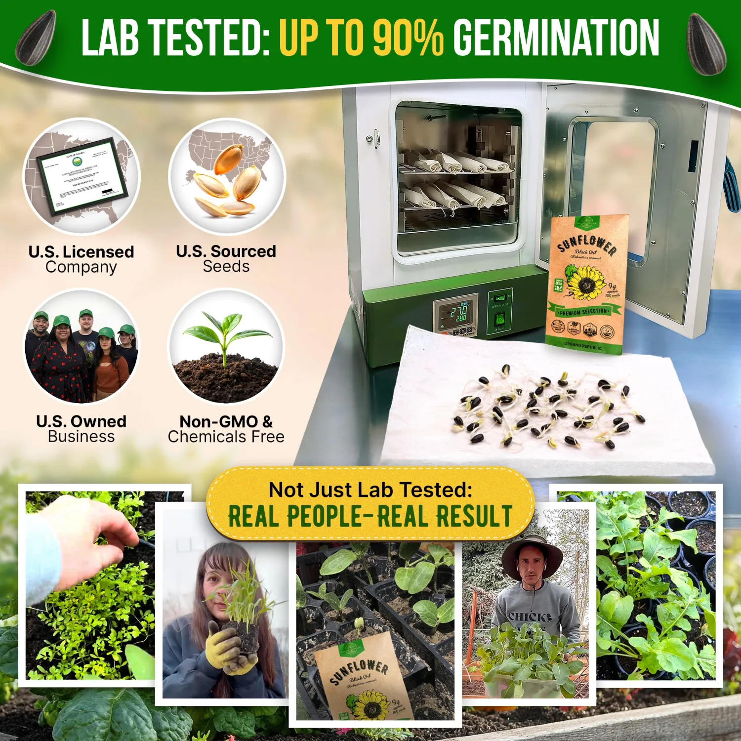 Sunflower Black Oil Seeds Pack 9G - Over 100 of Non-GMO Heirloom Sunflower Seeds for Planting Vegetables in Individual Seed Packet, Vegetable Seeds for Planting Indoor & Outdoor Garden