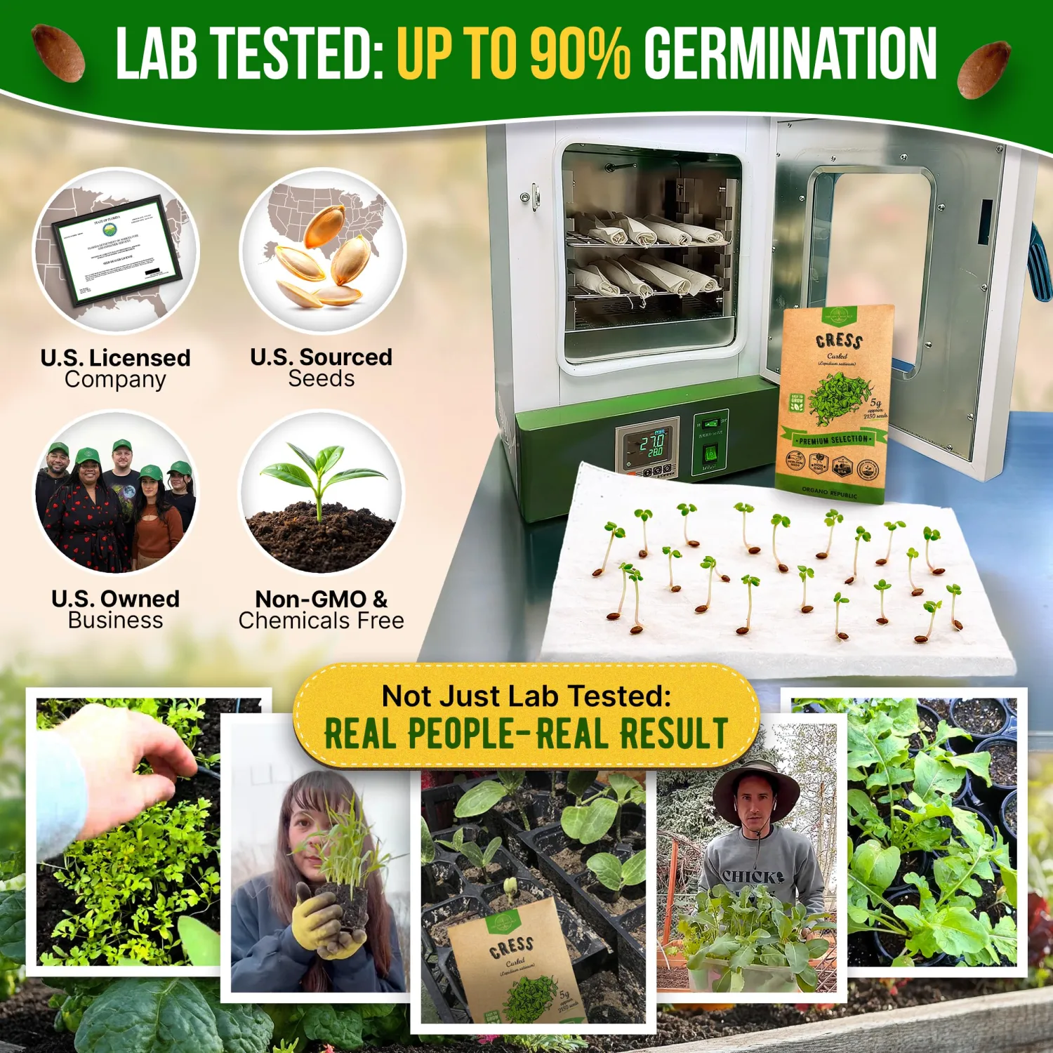 Curled Cress Seeds Pack 5G - Over 2,150 Non-GMO Heirloom Cress Seeds for Planting Greens in Individual Seed Packet, Greens Seeds for Planting Home Garden Indoor & Outdoor Gardening