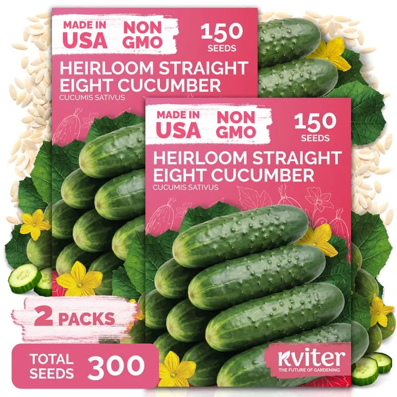 300 Straight Eight Cucumber Heirloom Vegetable Seeds, Cucumis Sativus | Straight 8 Cucumber Seed Packets, Perfect Cucumbers for Pickling, Slicing, Vegetable Heirloom Seeds for Planting Outdoors