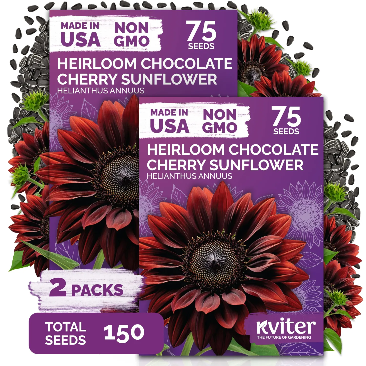 150 Chocolate Cherry Sunflower Heirloom Flower Seeds, Helianthus Annuus | Sunflowers Variety, Long Vase Life Blooms, Heirloom Seeds, Annual Flower Seeds for Planting in Home Garden