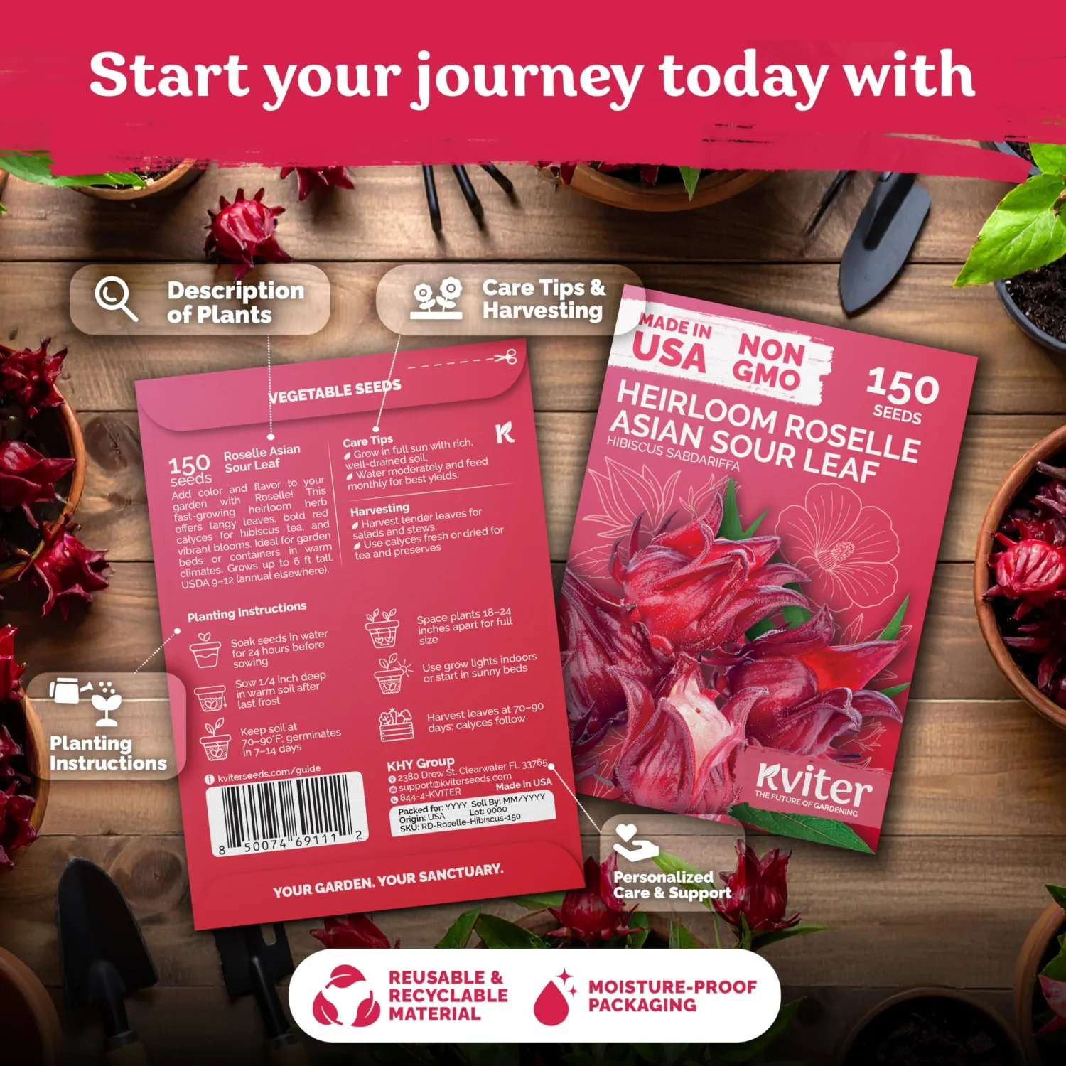 300 Roselle Seeds for Planting (Hibiscus Sabdariffa) | Jamaican Sorrel/Cranberry Hibisco Seeds/Gongura Seed/Sour Leaf Seed – Perfect for Hibiscus Tea , Outdoor & Indoor Garden
