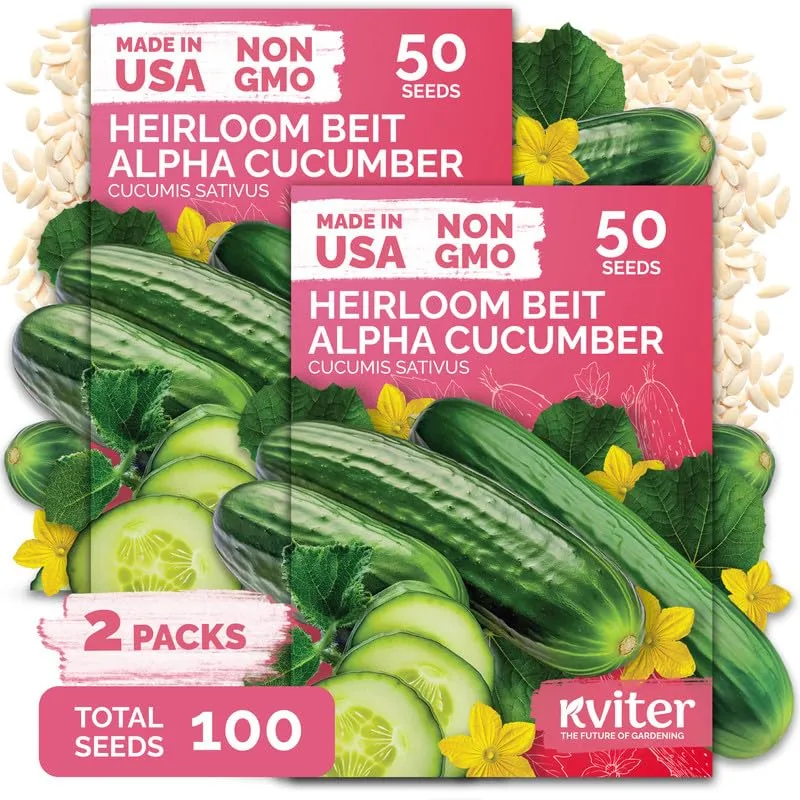 100 Beit Alpha Cucumber Heirloom Vegetable Seeds, Cucumis sativus | Persian Cucumbers, Parthenocarpic Cucumber Heirloom Seeds, Vegetable Seeds for Home Garden, Containers and Greenhouses