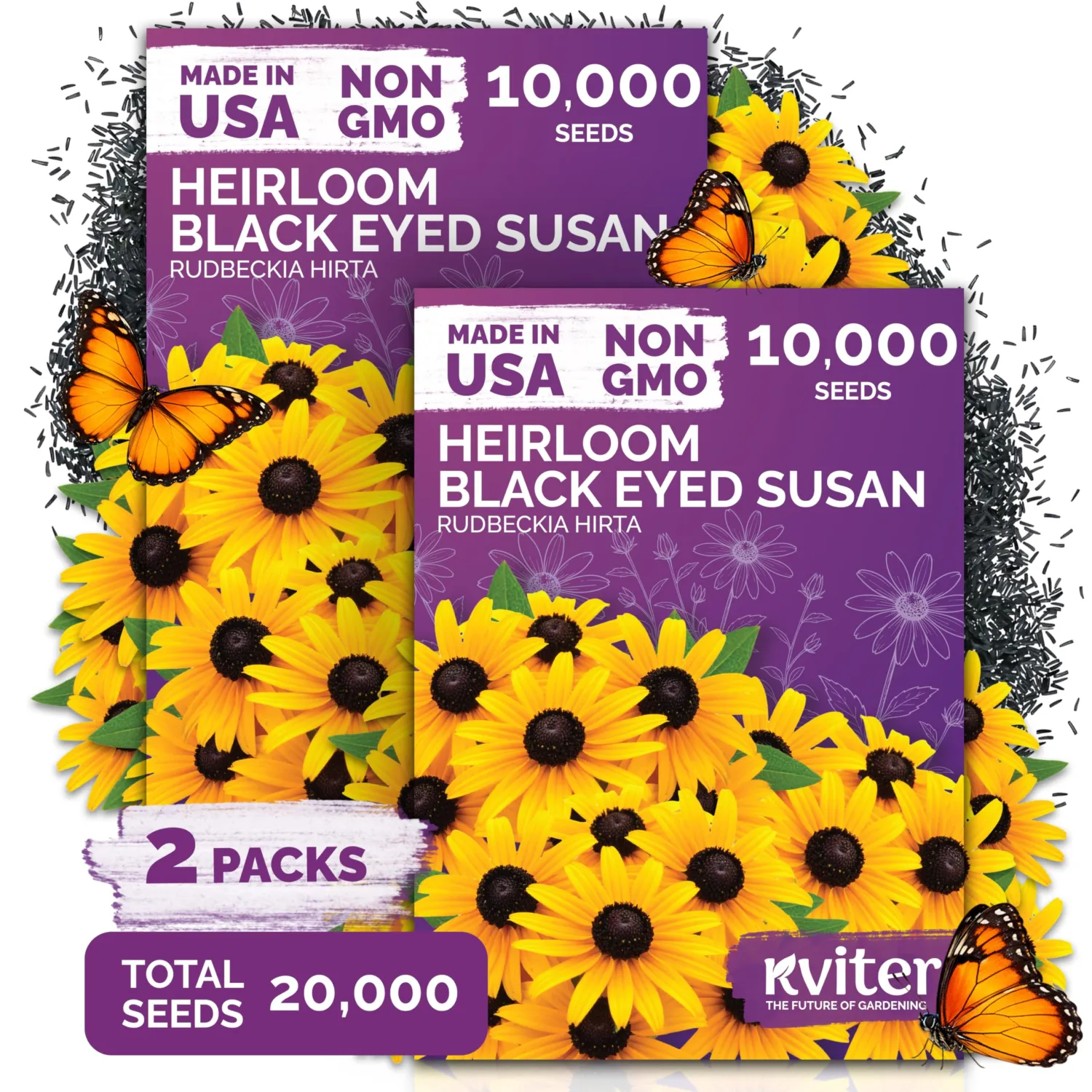 20,000 Black Eyed Susan Heirloom Flower Seeds for Planting, Rudbeckia Hirta | Gloriosa Daisy Wildflower Seeds, Flower Seeds for Planting Outside, Borders, Containers, Attracts Pollinators