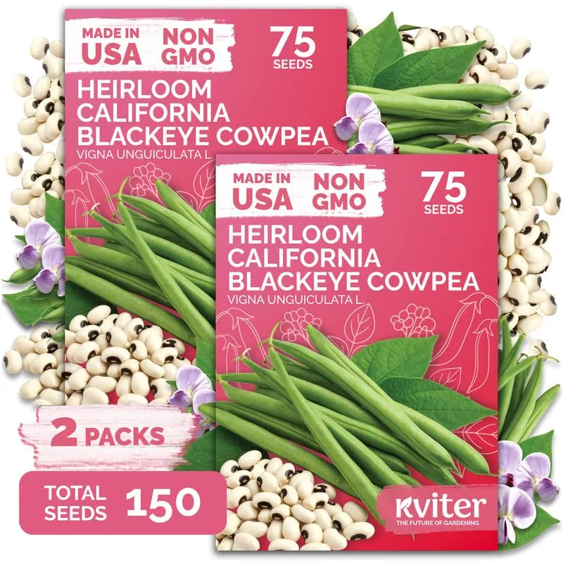 150 California Black Eyed Peas Vegetable Seeds, Vigna Unguiculata L. | Cowpeas Heirloom Seeds for Planting, Peas, Field Peas, Vegetable Seeds for Outdoor Garden, Containers