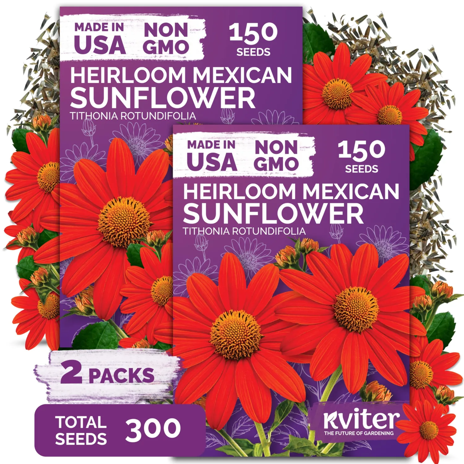 300 Mexican Sunflower Heirloom Flower Seeds, Tithonia Rotundifolia | Tithonia, Red Sunflower Heirloom Seeds, Orange Sunflowers, Flower Seeds Garden Beds and Outdoor Flower Garden, Seed Packets