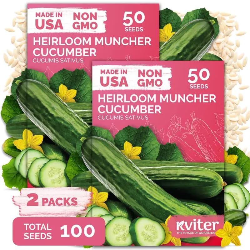 100 Muncher Cucumber Heirloom Vegetable Seeds for Planting, Cucumis Sativus | Burpless and Seedless Cucumber Heirloom Seeds, Cucumbers, Vegetable Seeds for Planting Outdoors in Home Garden and Containers