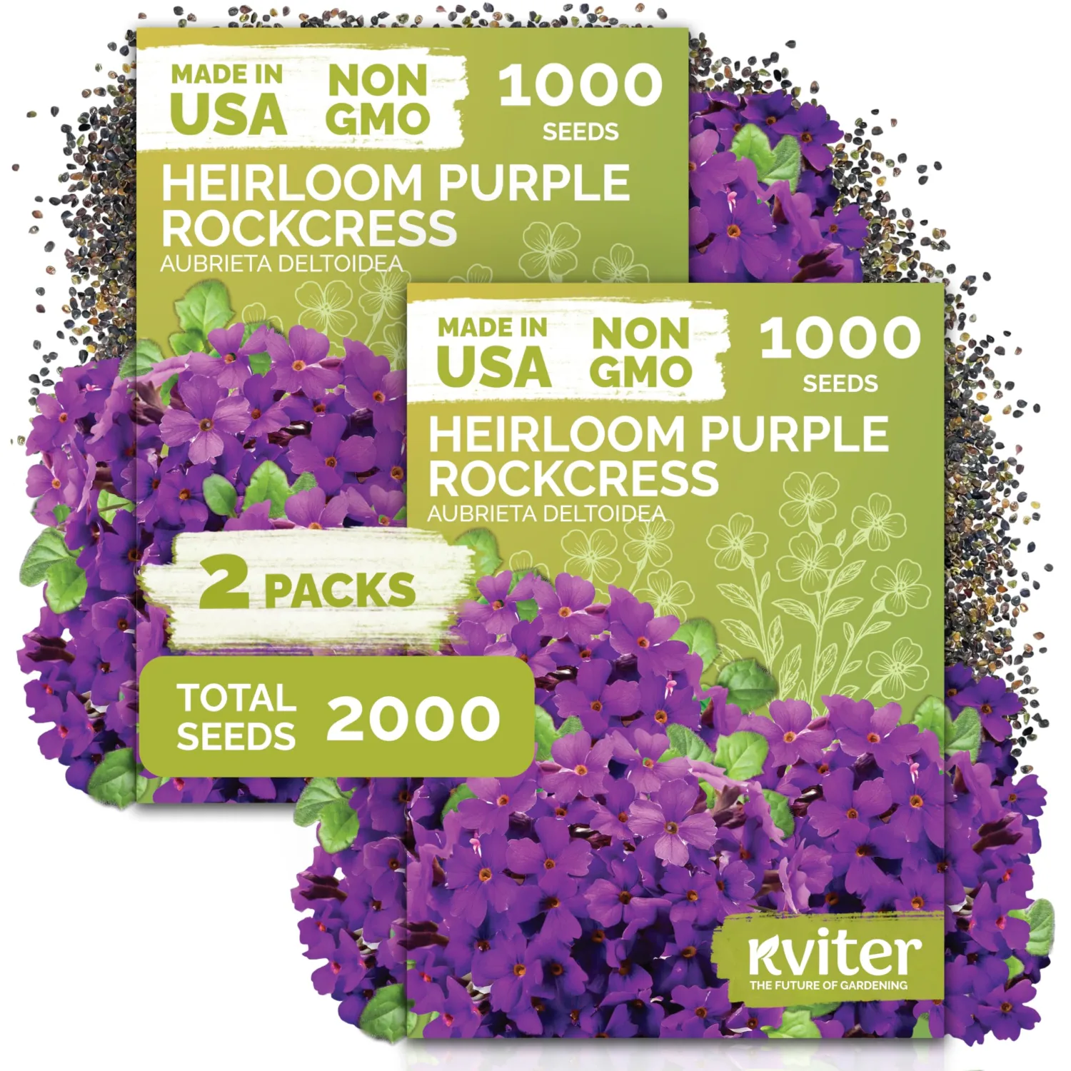 2,000 Purple Aubrieta/Rock Cress Flower Seeds, Aubrieta Deltoidea | Aubrieta Seed, Lilacbush, Heirloom Seeds, Ideal Perennial Flower Seeds for Planting in Beds, Rock Garden and Walls