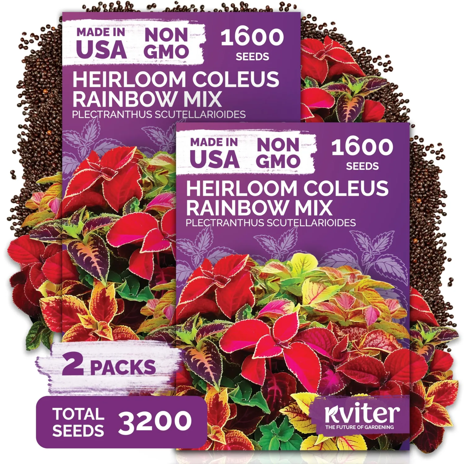 3,200 Rainbow Coleus Mix Seeds for Planting, Plectranthus Scutellarioides | Coleus Garden Seed Packets, Heirloom Seeds, Annual Flower Seeds for Indoor and Outdoor Garden, Containers, Borders, Patios