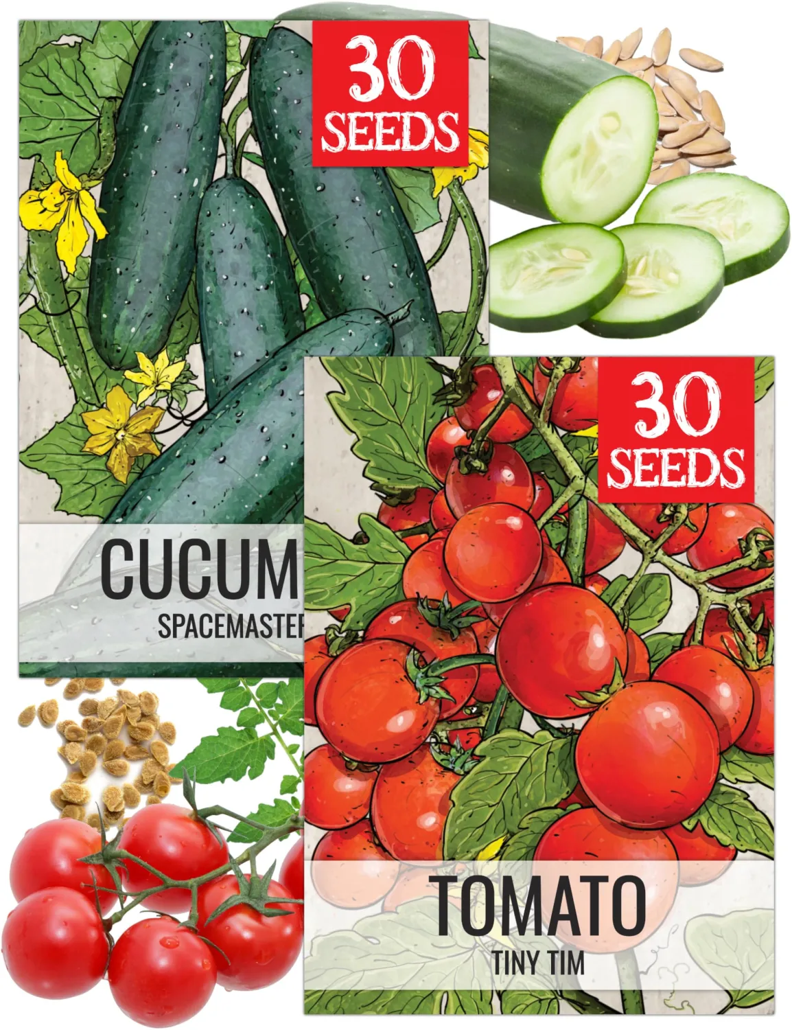Seed Needs Vegetable Seeds Duo Pack - Spacemaster Cucumber/Tiny Tim Tomato