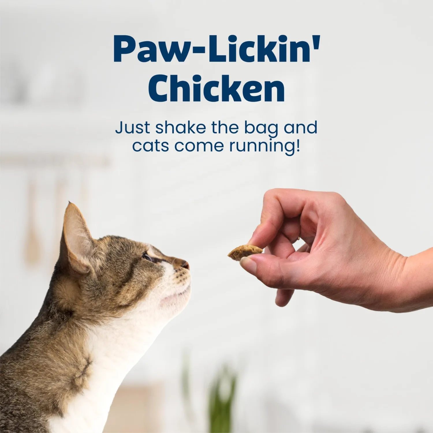 Blue Buffalo Bursts Chicken Crunchy & Creamy Cat Treats, 5 oz | Real Chicken First, Crunchy Shell with Creamy Center, No Poultry By-Product, Corn, Wheat, or Soy