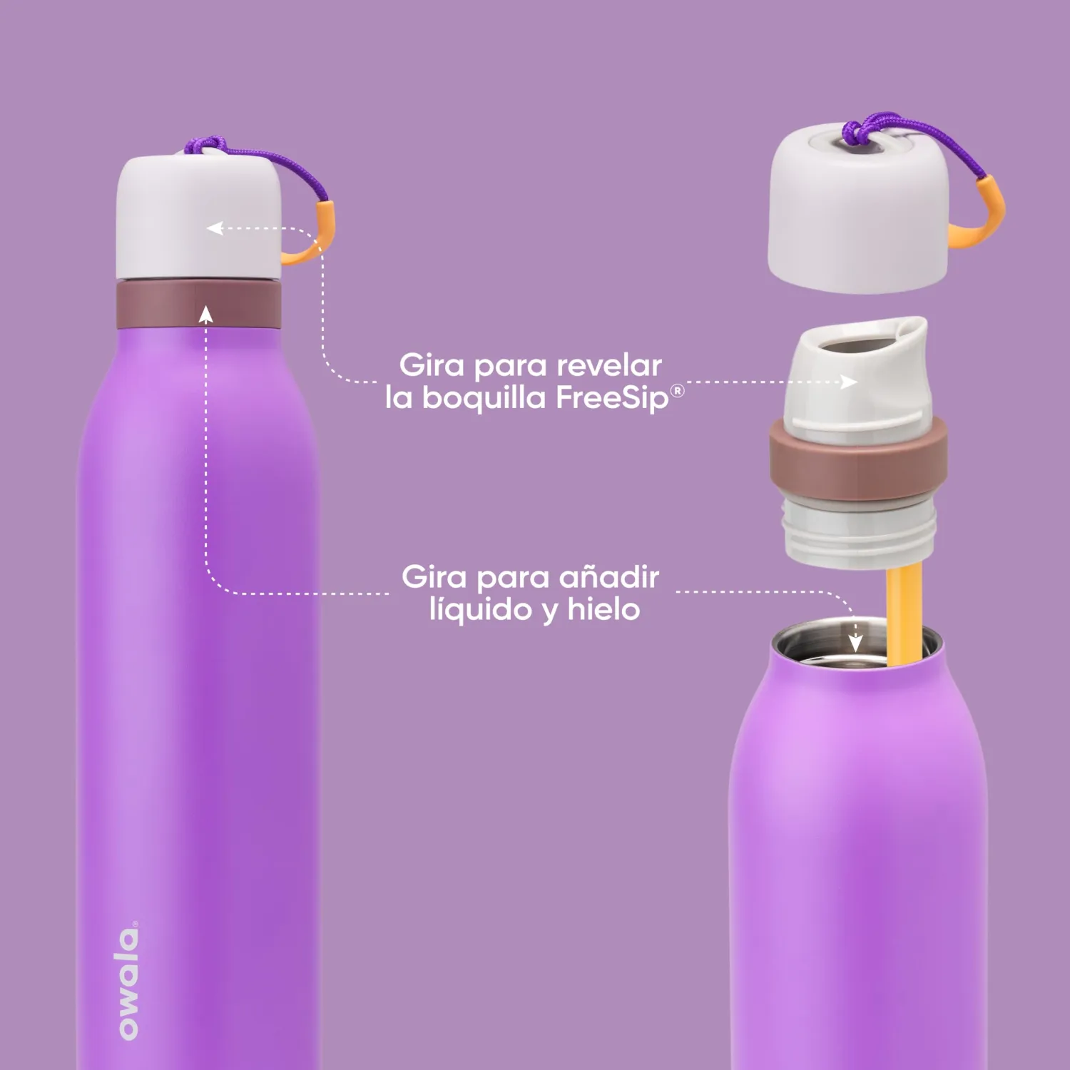 Owala FreeSip Twist Stainless Steel Water Bottle 24 oz California Grapevine