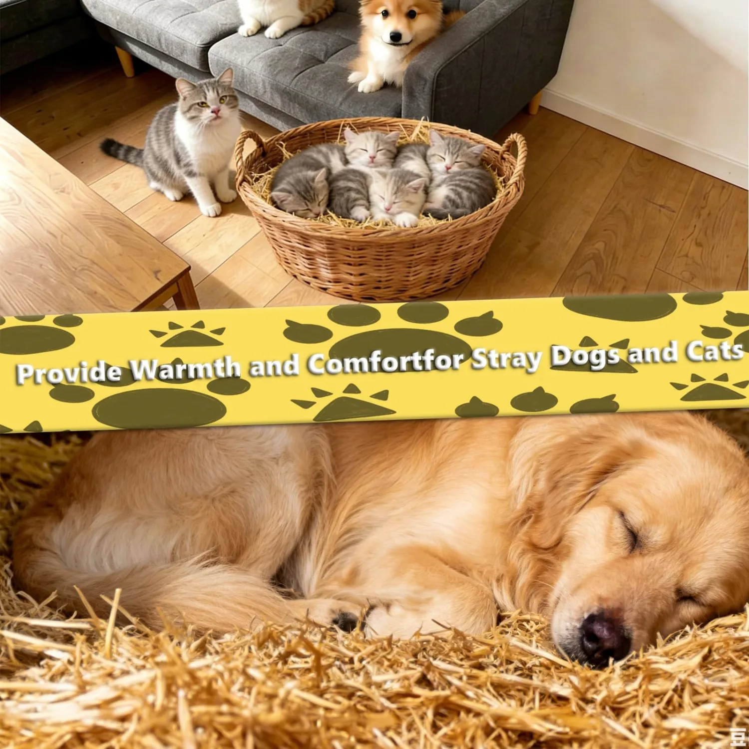 Natural Wheat Straw - 1LB Dry Clean Soft Decorative Straw Bale | for Stray Cats Dogs Shelter,straw bedding for cats, Warm Chicken Coop Yard Farm Pets Bedding Garden Mulch Weed Cove